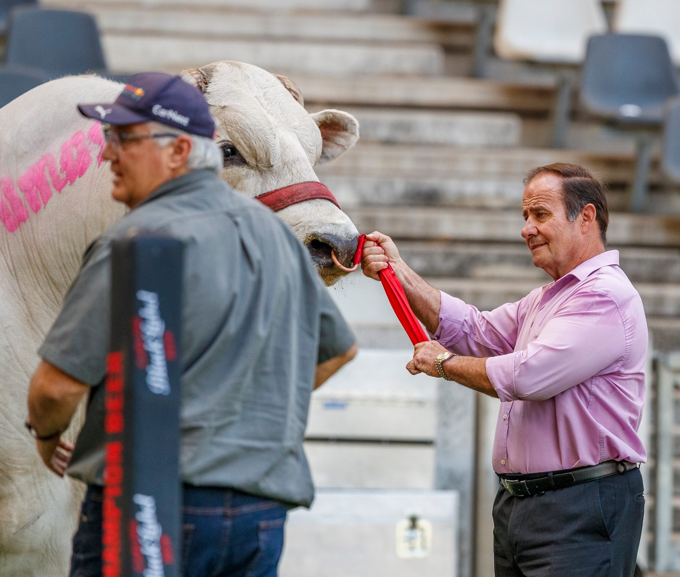 Pumas v Cheetahs, Currie Cup 2024 — match photography by Dirk Kotze