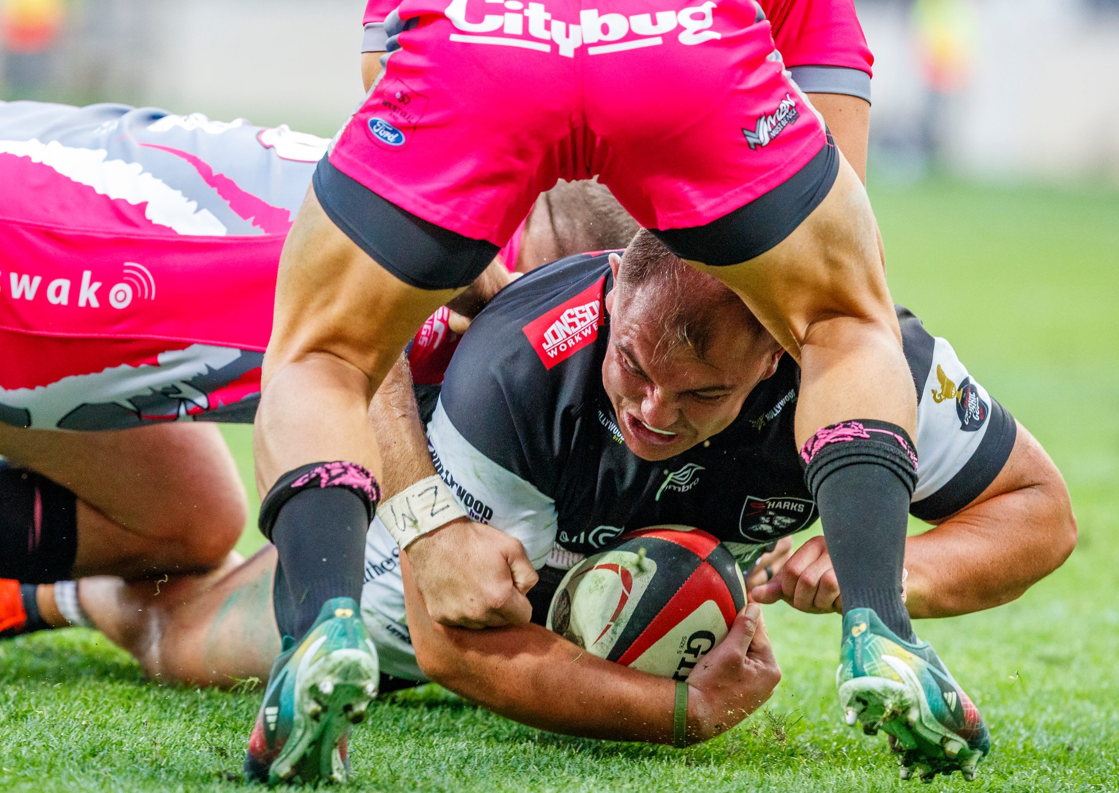 Pumas v Sharks, Currie Cup 2024 — match photography by Dirk Kotze